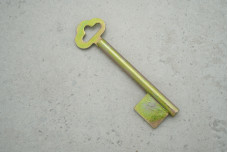 Заготовка ключа Жовті води Ø 8 ℓ-85 1 бор без отвора
