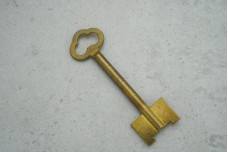 Заготовка ключа MAX 1