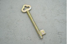 Заготовка ключа JANIA Ø7.5 універсал товстий флажок