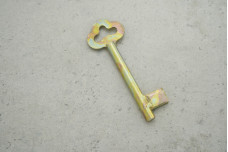 Заготовка ключа JANIA Ø7 універсал товстий флажок