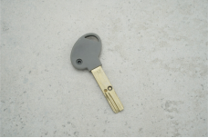 Заготовка ключа 252 GOLD ORIGINAL