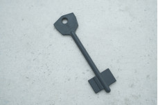 Заготовка ключа Silca AO CAM №3 SMARTY 5ACM5 (сірий пластик)