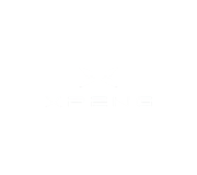 Xpeng