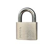 Дугоподібні