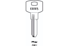 Заготовка ключа Canas P3M1