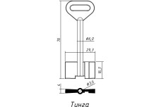 Заготовка ключа СЕЙФ ТИНГА