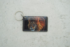 Заготовка домофона Лев силікон