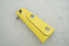 Ключниця ялинка жовта